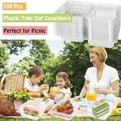 100 Pcs Clear Plastic Square Hinged Food Clamshell ContainerDisposable To Go Containers with Clear Lids Cake Slice Takeout Tray